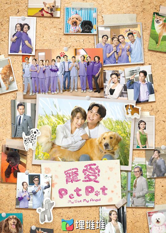 摸鱼同事《免费货源网站免费版不用下载》悄无声息不知道说啥